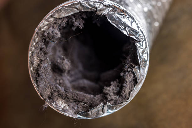 Best Air Duct Cleaning Company Near Me  in Cherry Valley, CA